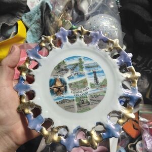 Hot Springs National Park Decorative Ceramic Plate - Blue, Gold